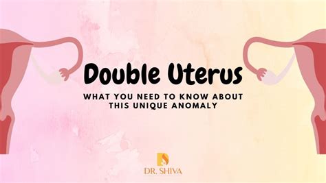 two vaginas|Uterus didelphys (double uterus): Symptoms and more